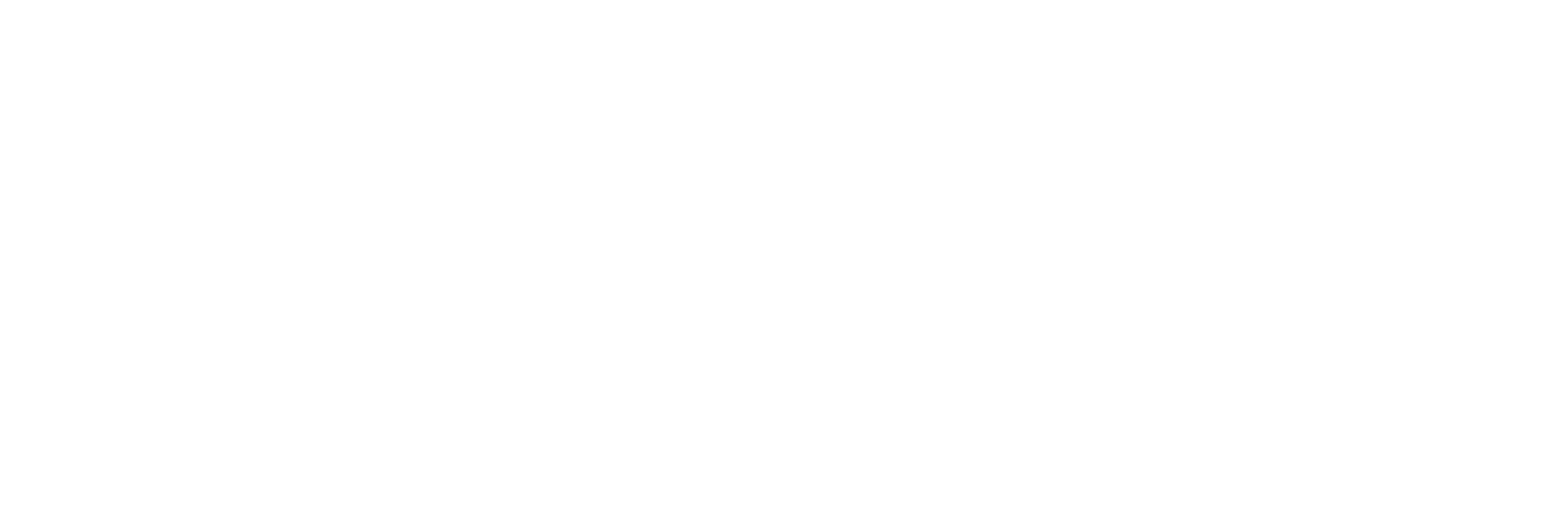 Landseair Logo